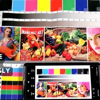 Color Printing